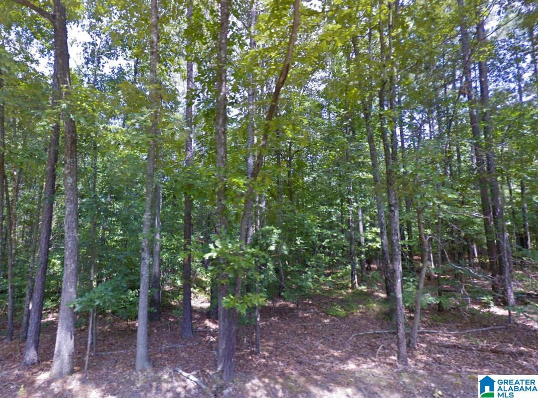 Renfroe Road Alpine, AL 35014 - Photo 8 of 14