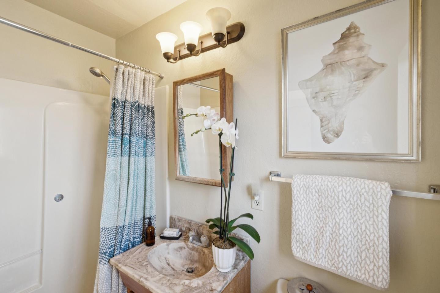 450 Phelps Road San Carlos, CA 94070 - Photo 82 of 110 Gallery Image 82