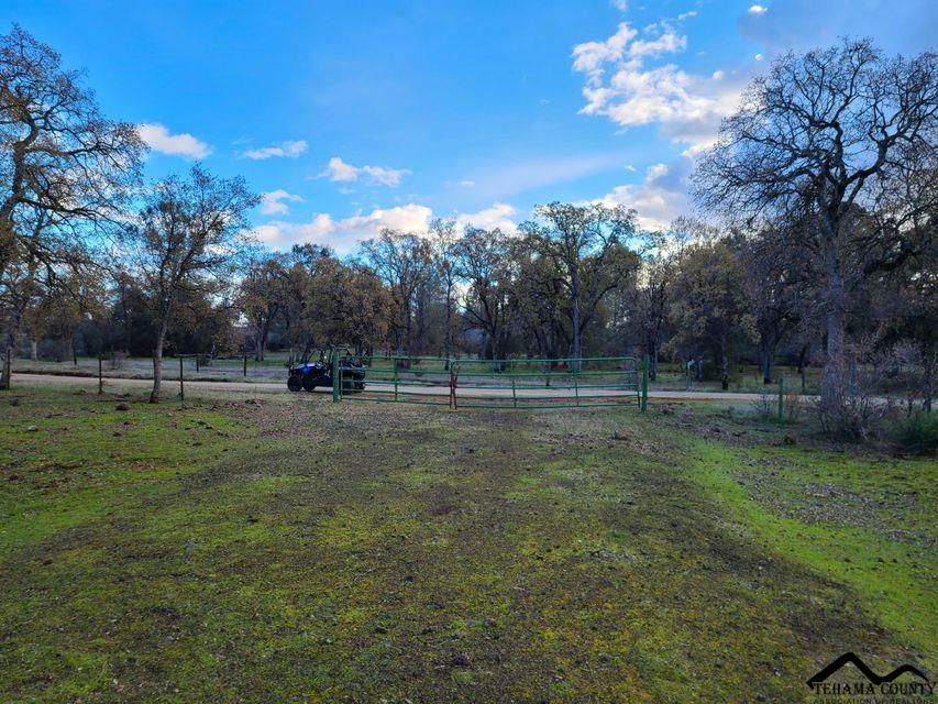 Battle Creek Bottom Road Manton, CA 96059 - Photo 14 of 27 Gallery Image 14