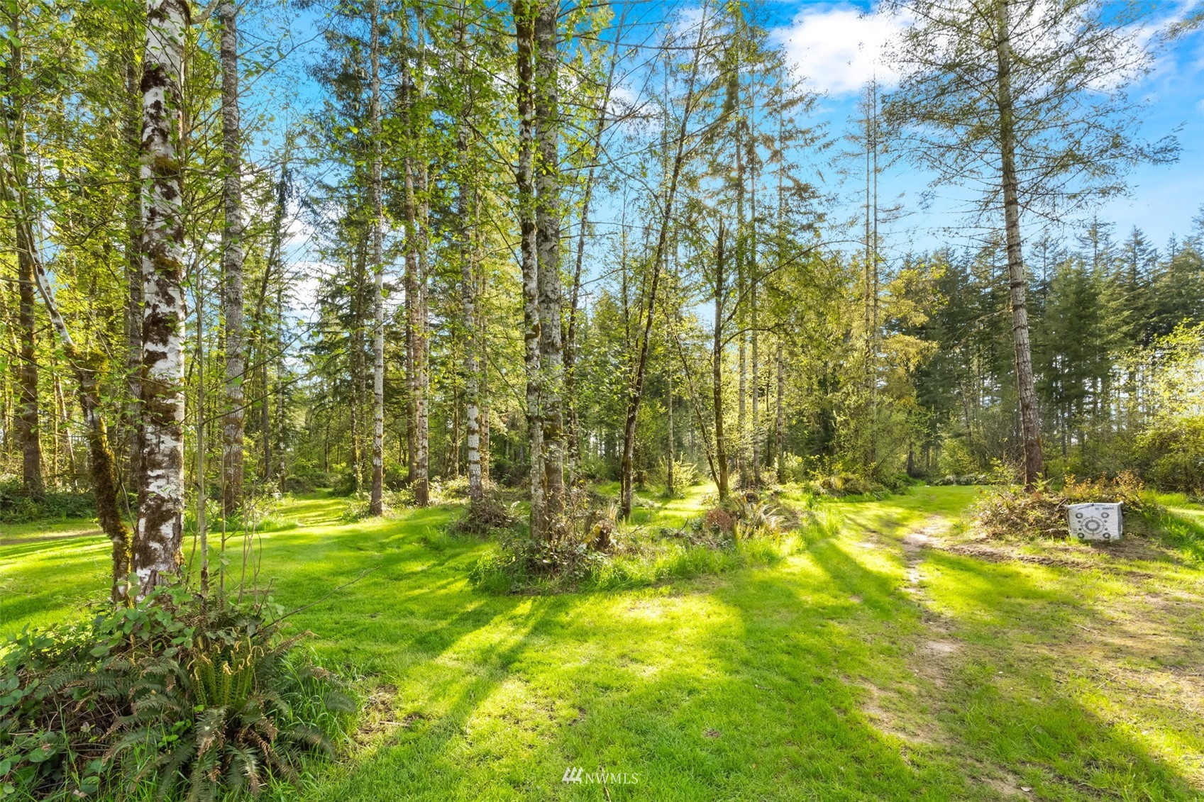 154 Rogerson Road Chehalis, WA 98532 - Photo 36 of 40 a view of yard with trees