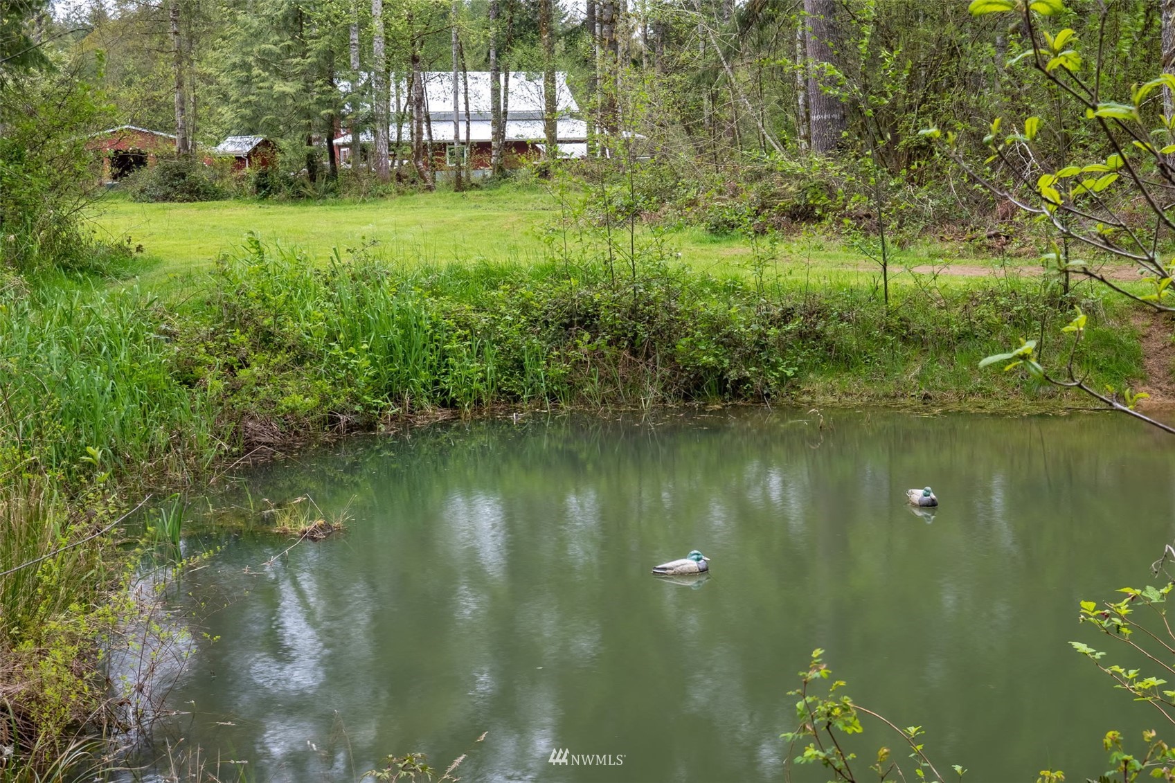 154 Rogerson Road Chehalis, WA 98532 - Photo 37 of 40 a view of a lake view