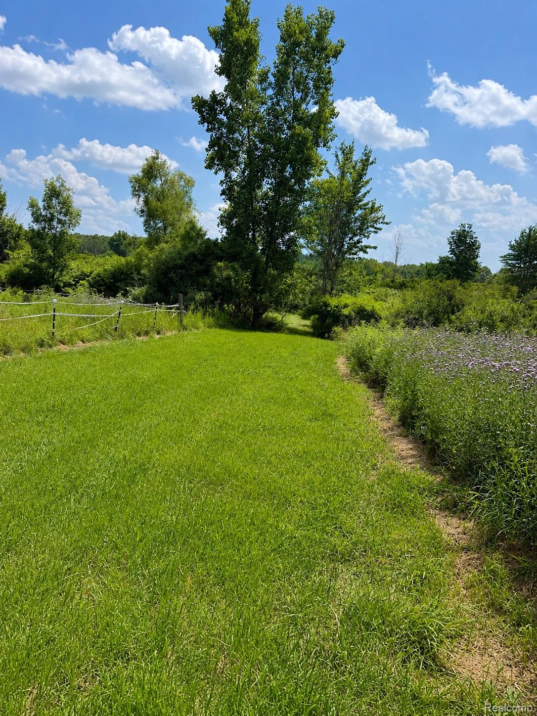 12449 Norman Road Yale, MI 48097 - Photo 2 of 4 66D1CE9C-3FC9-4DA5-A776-EDB931BBD652.jpeg