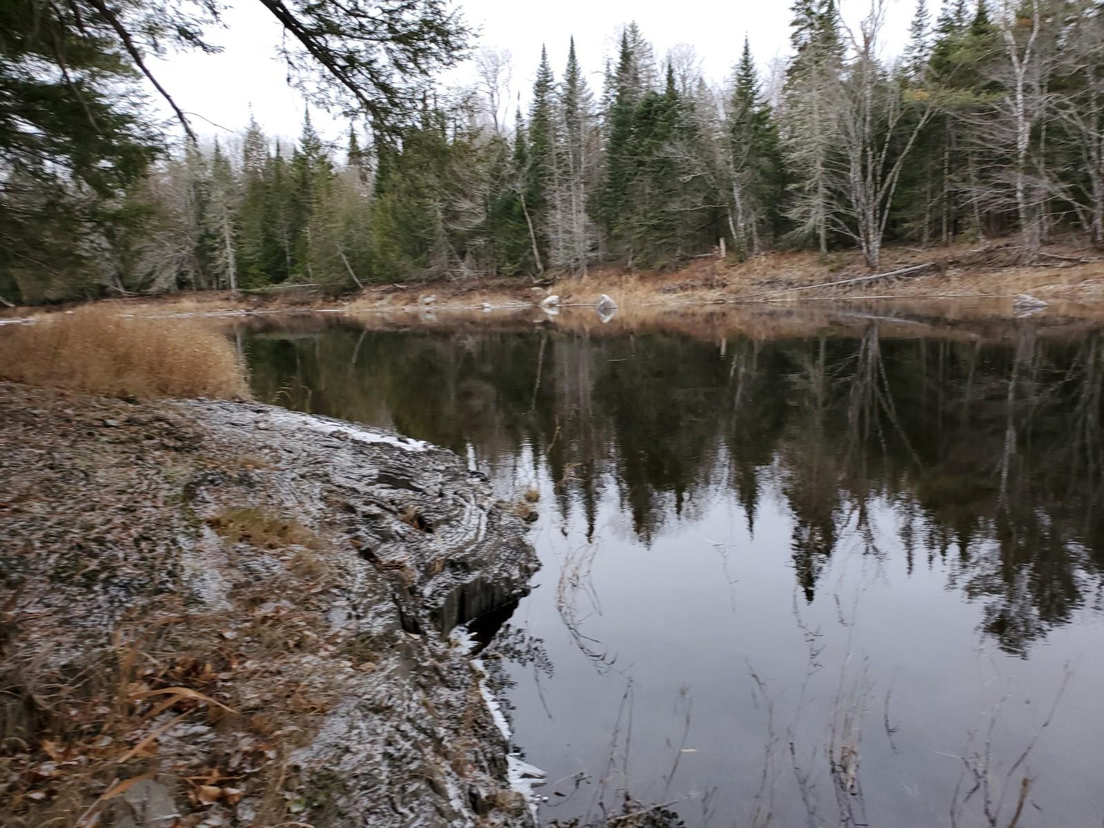 Lot 7 South Haynes Road Wytopitlock, ME 04497 - Photo 4 of 8 20201119_141220