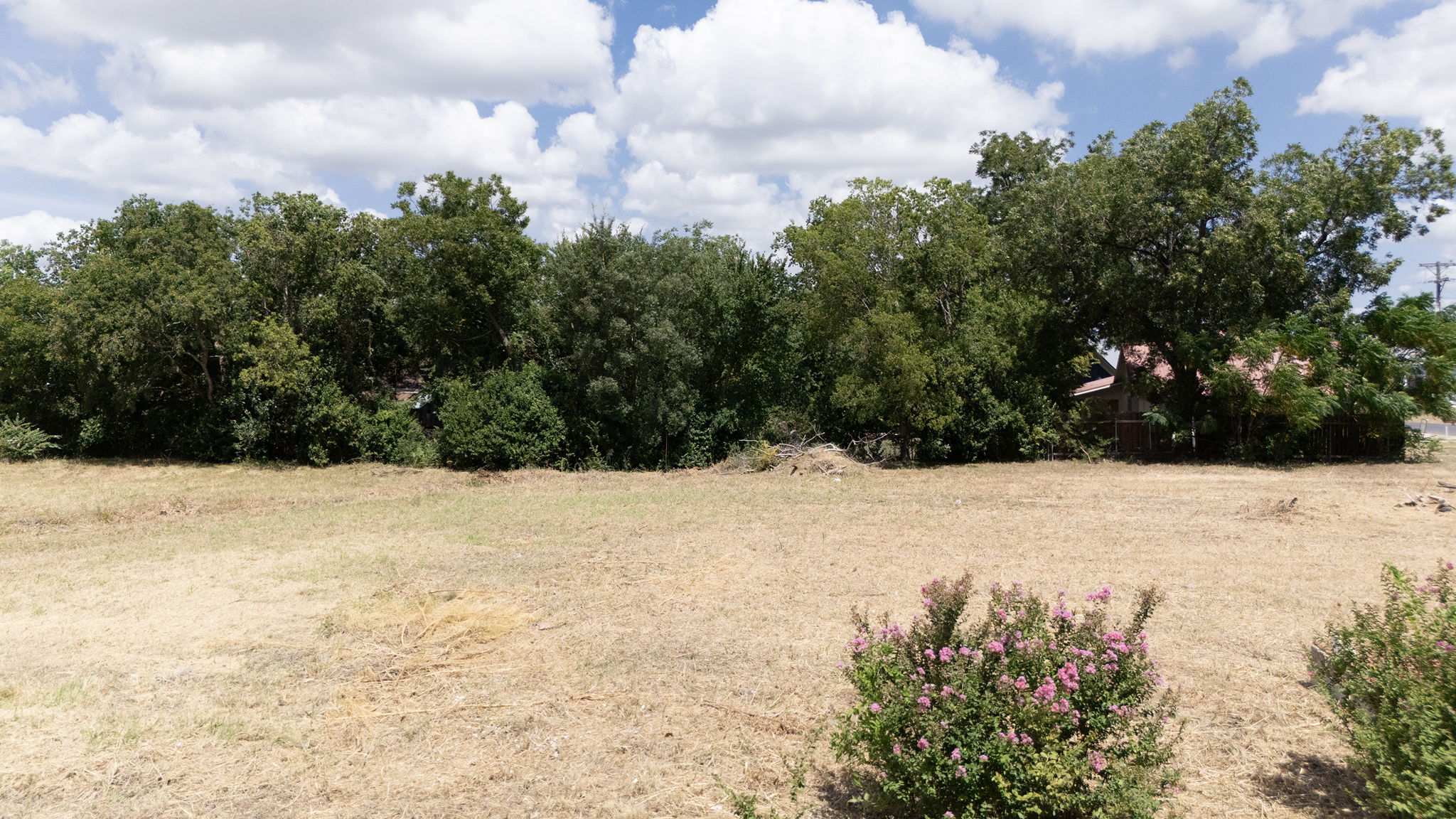 101 East South Street Leander, TX 78641 - Photo 13 of 18 View of local wilderness