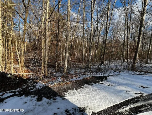 $23,550 | 4 Evergreen Drive, Oneida, TN 37841