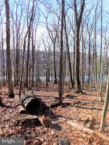 $124,900 | Lot T Lot T & U Highwood Drive, McHenry, MD 21541