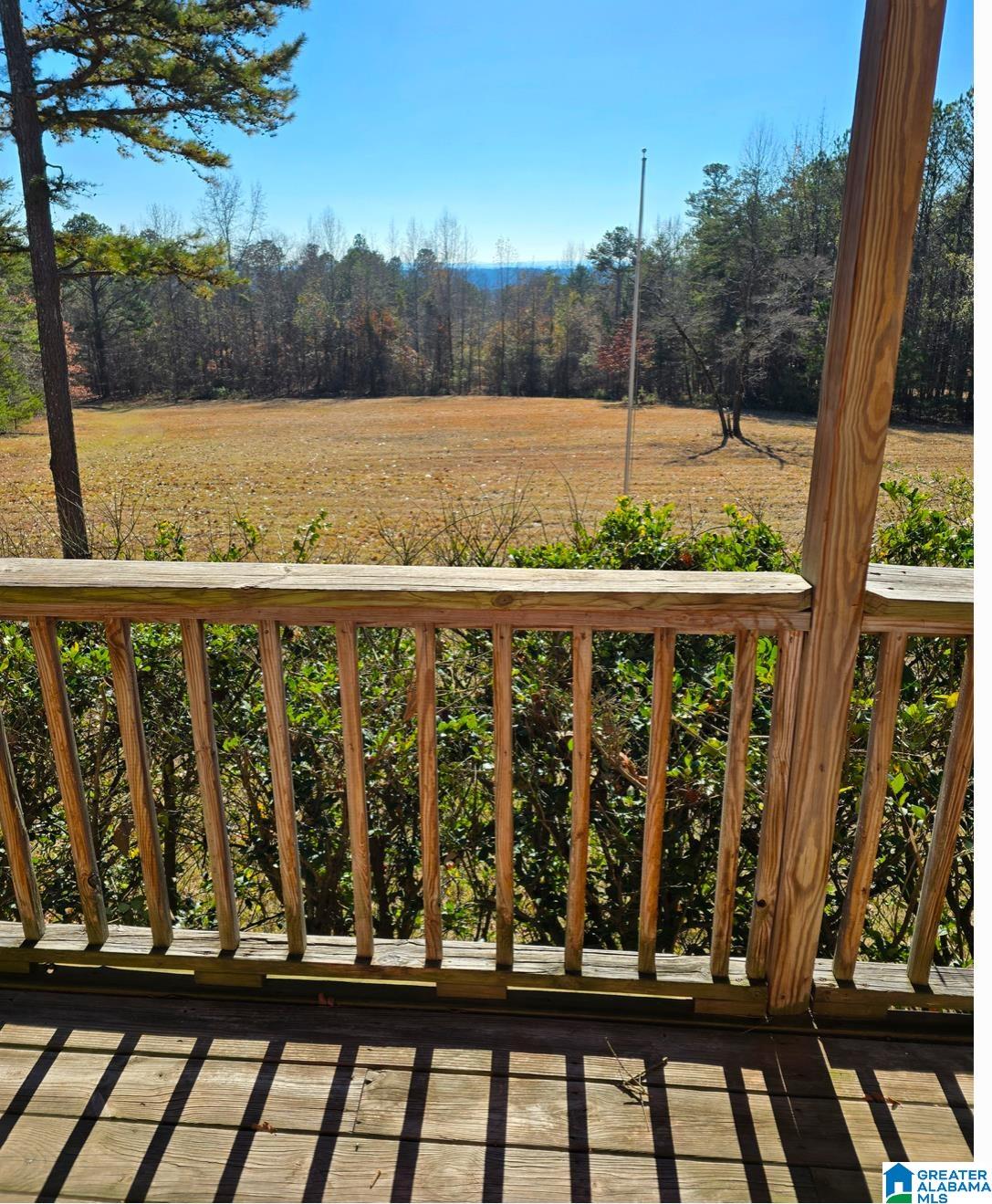 305 Mdw Rdg Drive Springville, AL 35146 - Photo 1 of 11