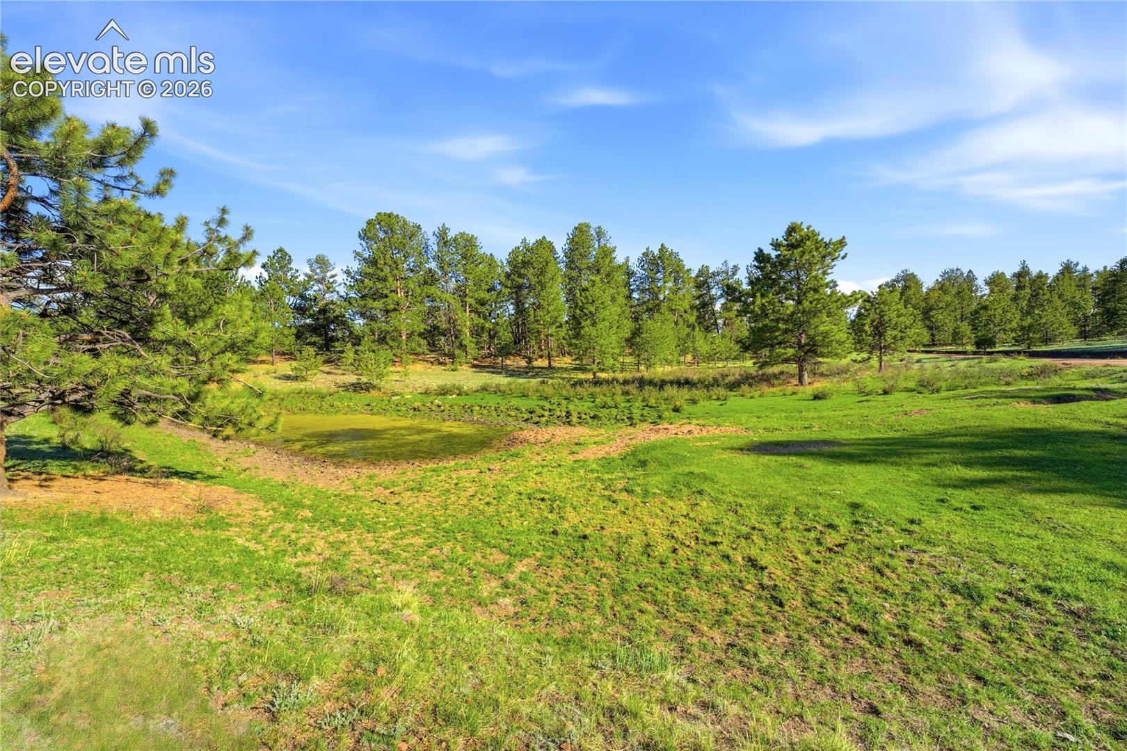 Doe Valley Road Guffey, CO 80820 - Photo 4 of 19 Expansive green land featuring a natural pond and mature evergreen trees