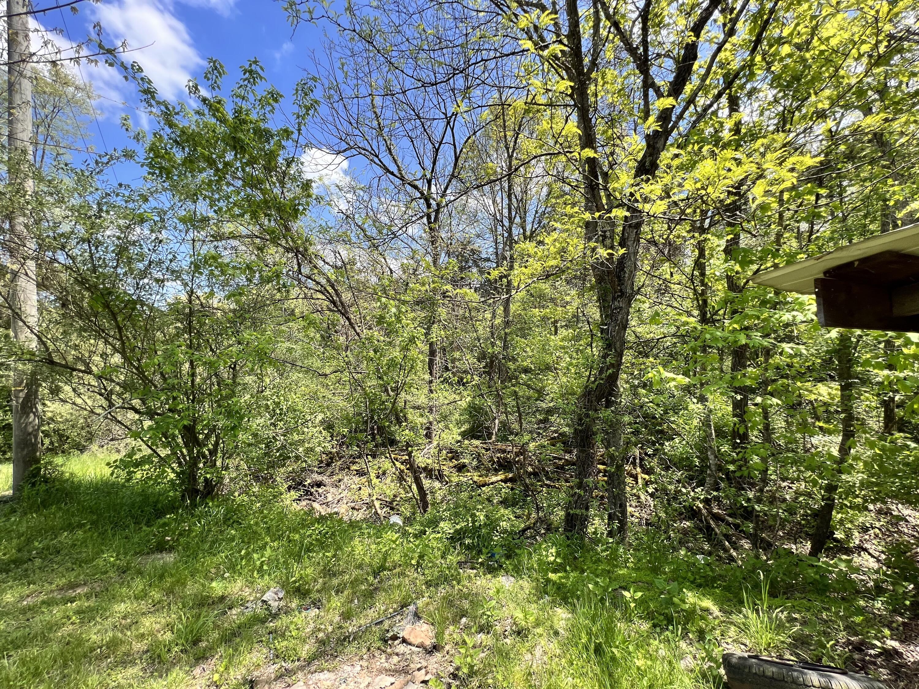 2080 Cedar Road Stamping Ground, KY 40379 - Photo 17 of 44 2BF3D2EA-D9C7-4688-9985-EB0A8BC37549
