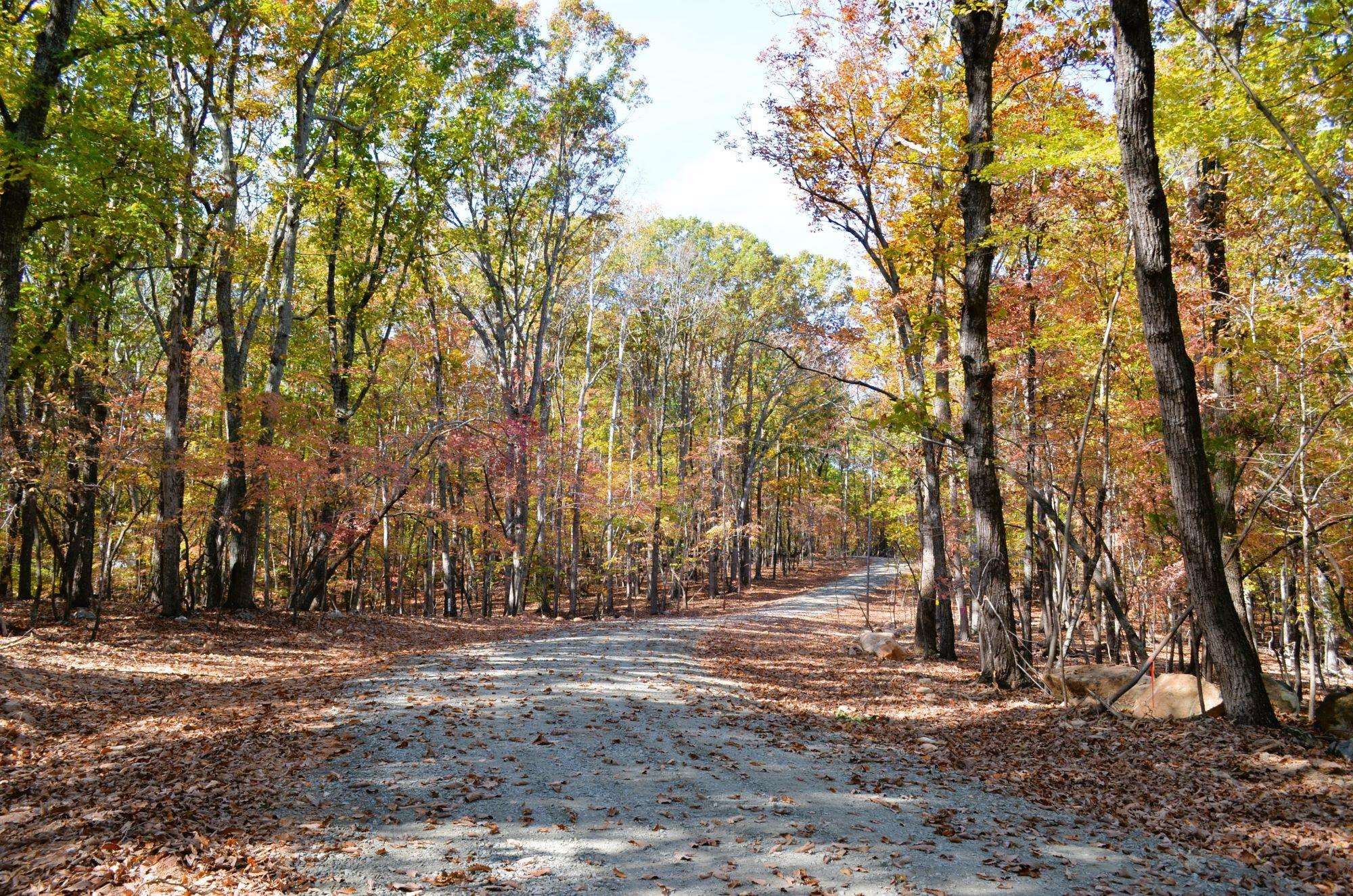a view of outdoor space with yard