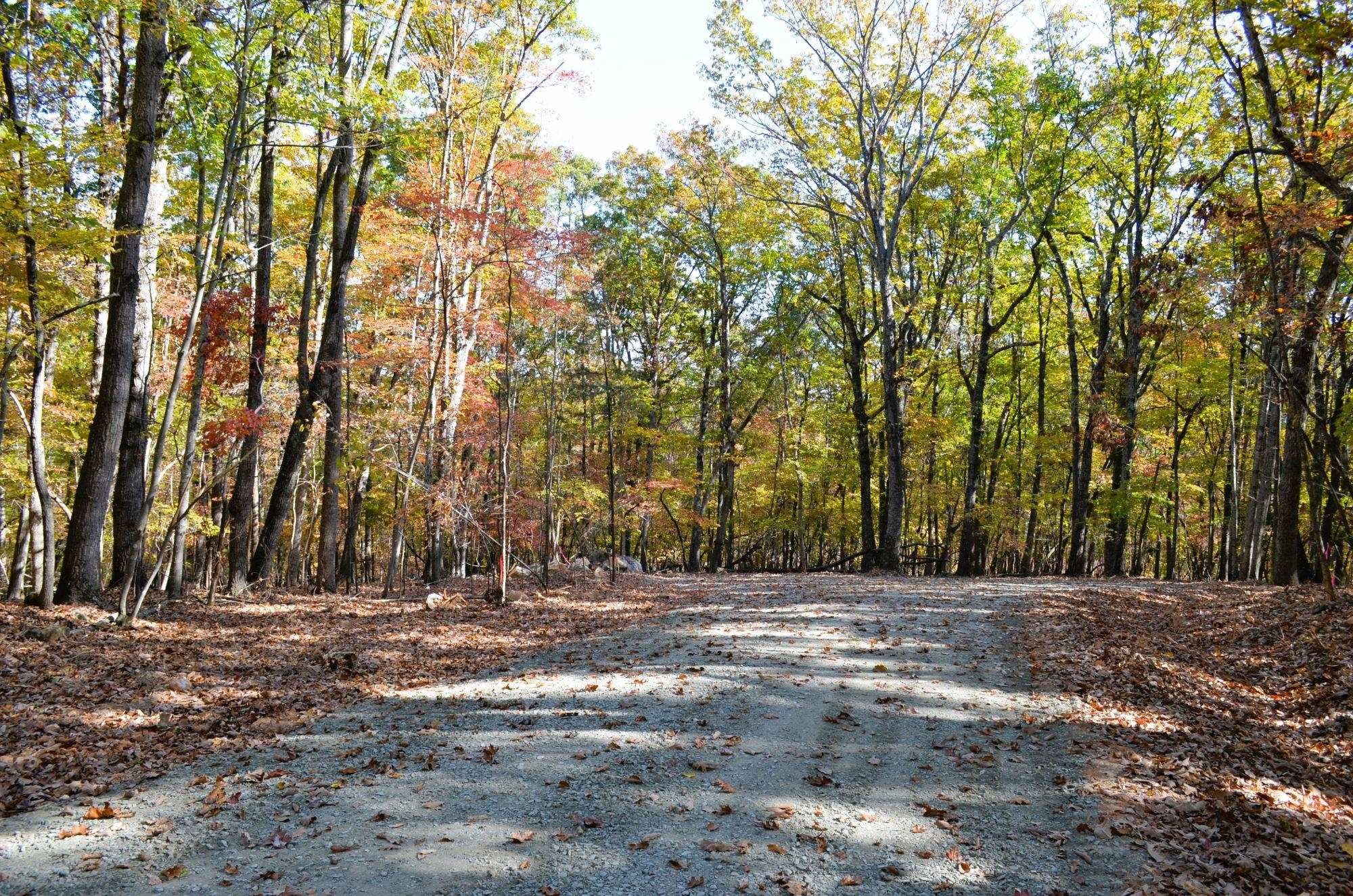 29 Fire Tower Drive Rougemont, NC 27572 - Photo 2 of 8 a view of dirt field with trees