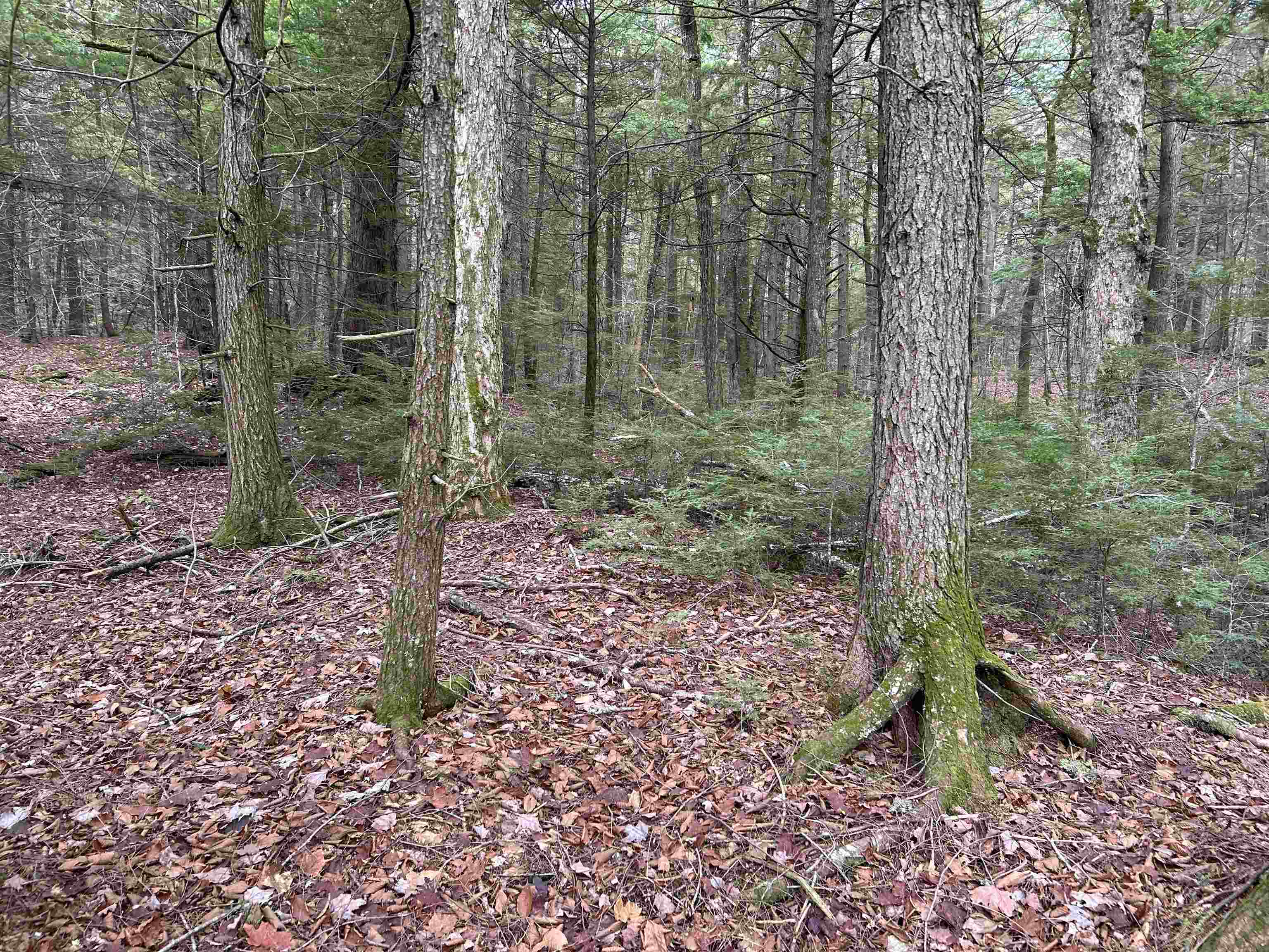 0 Pound Road North North Sutton, NH 03260 - Photo 26 of 51