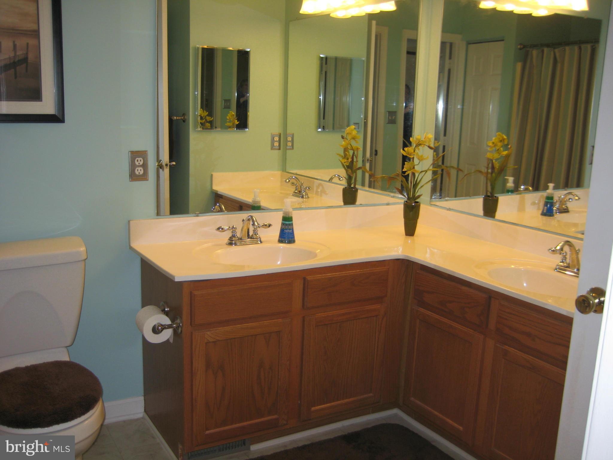 7304 Gunpowder Road Baltimore, MD 21220 - Photo 24 of 30 a bathroom with a sink a toilet and mirror