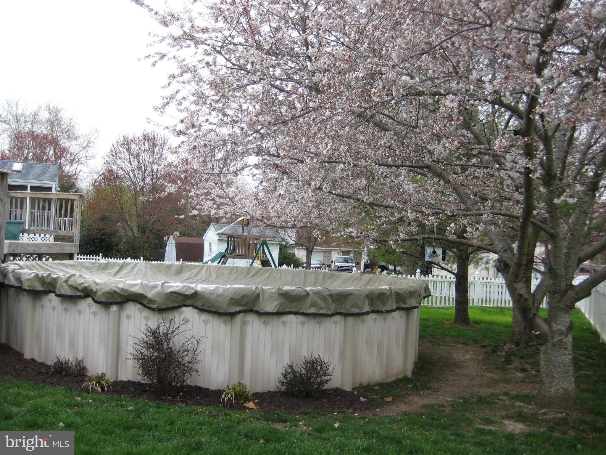 7304 Gunpowder Road Baltimore, MD 21220 - Photo 9 of 30 a view of a table and chairs in the garden