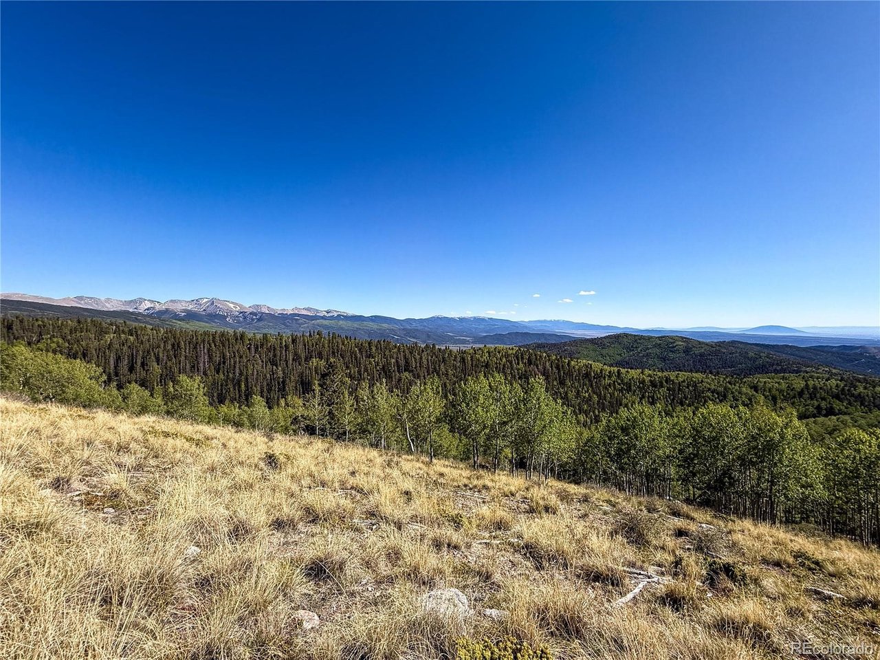 6829 Ryland Road San Luis, CO 81152 - Photo 3 of 28 a view of a yard with a lake view