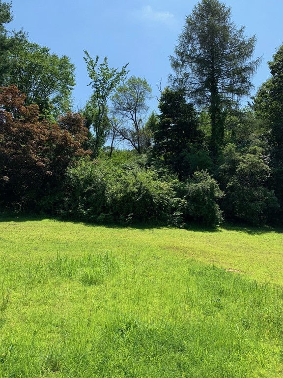 41 Kelsey Road Boxford, MA 01921 - Photo 3 of 5 a view of backyard with green space