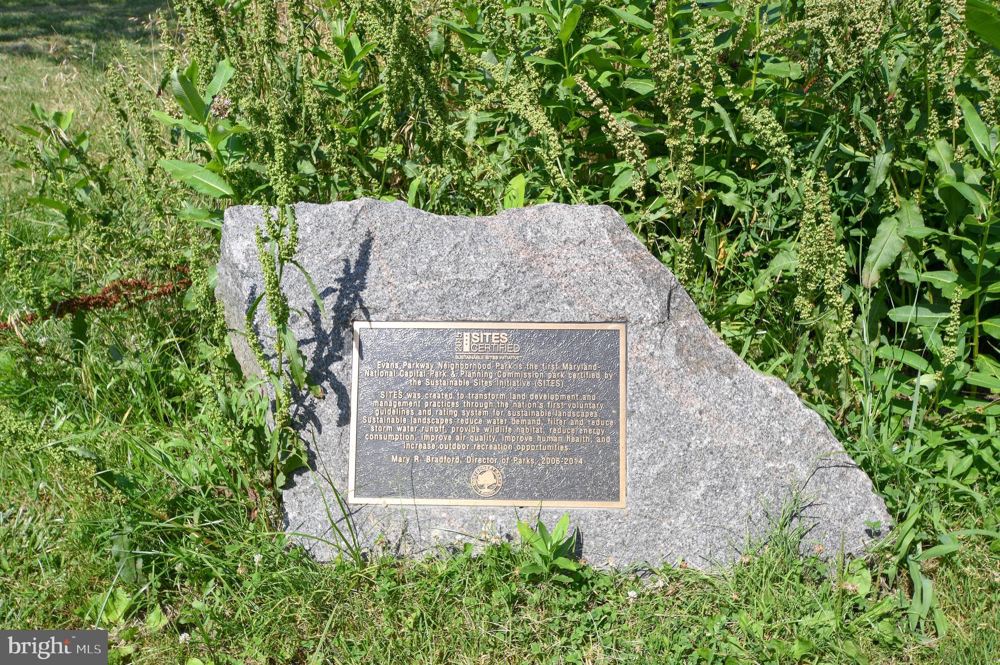 2016 Cascade Road Silver Spring, MD 20902 - Photo 68 of 80