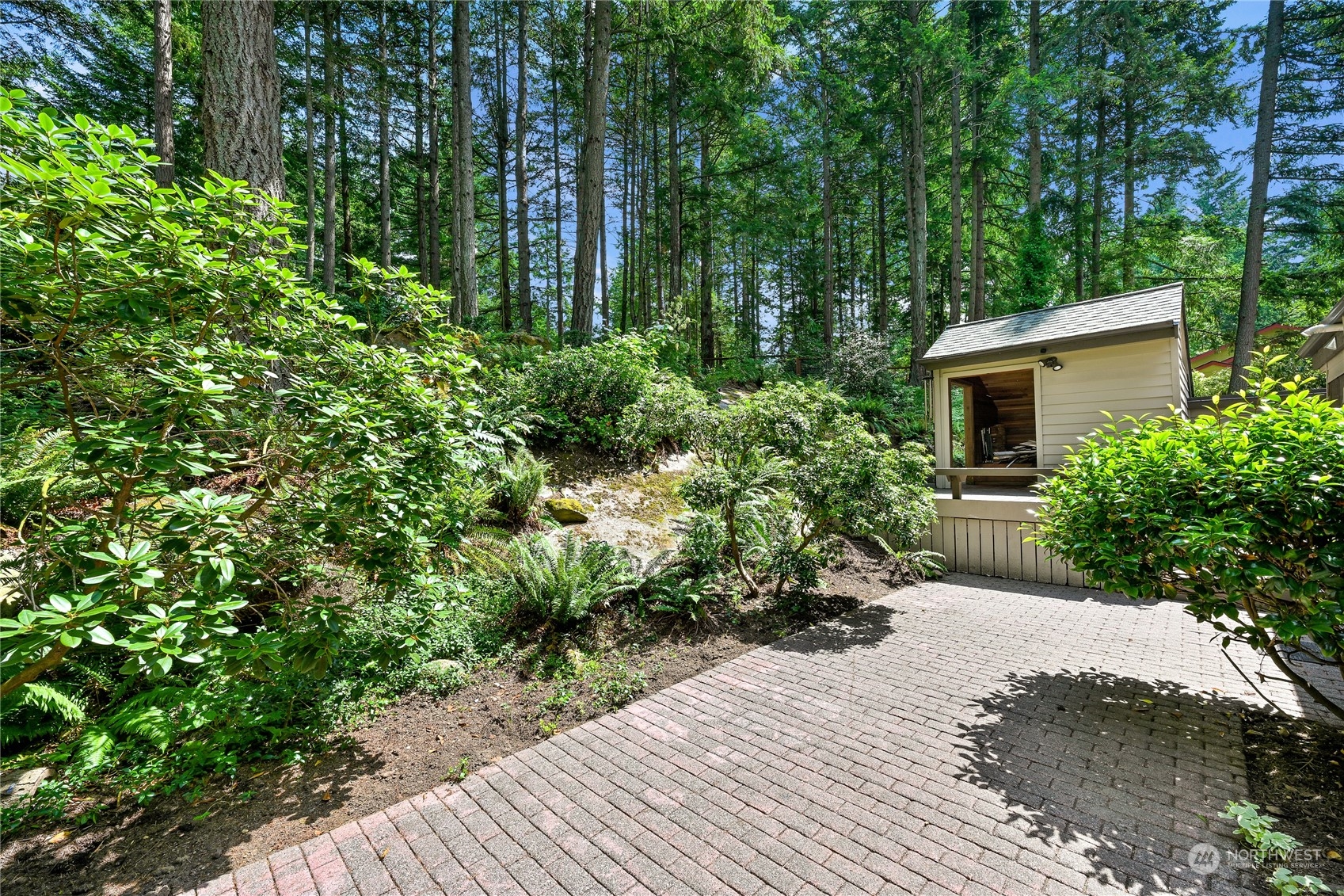 615 Canyon View Road Bellingham, WA 98225 - Photo 33 of 39 a view of a backyard with potted plants and large trees