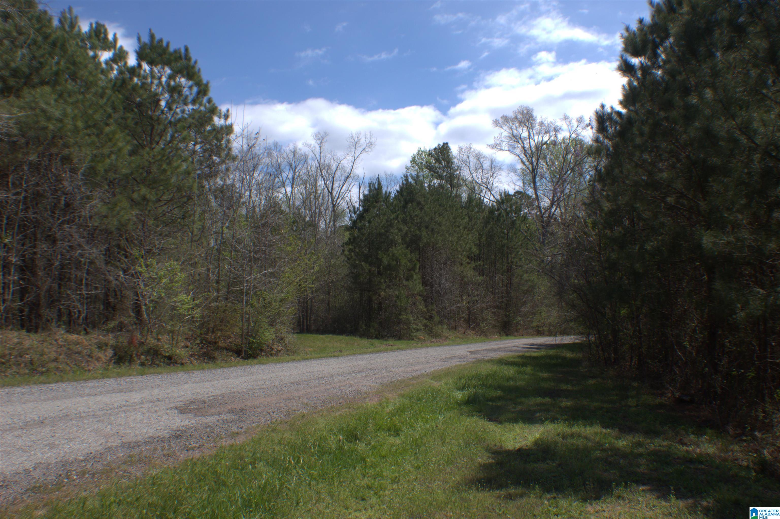 0 Kilpatrick Road Parrish, AL 35580 - Photo 5 of 6