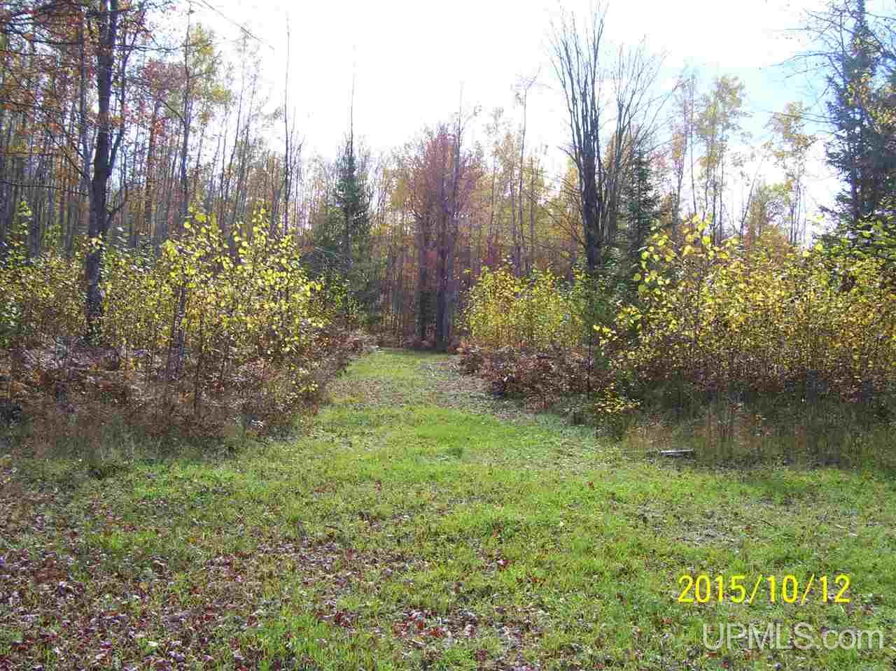 15007 Co Road Rapid River, MI 49878 - Photo 13 of 15