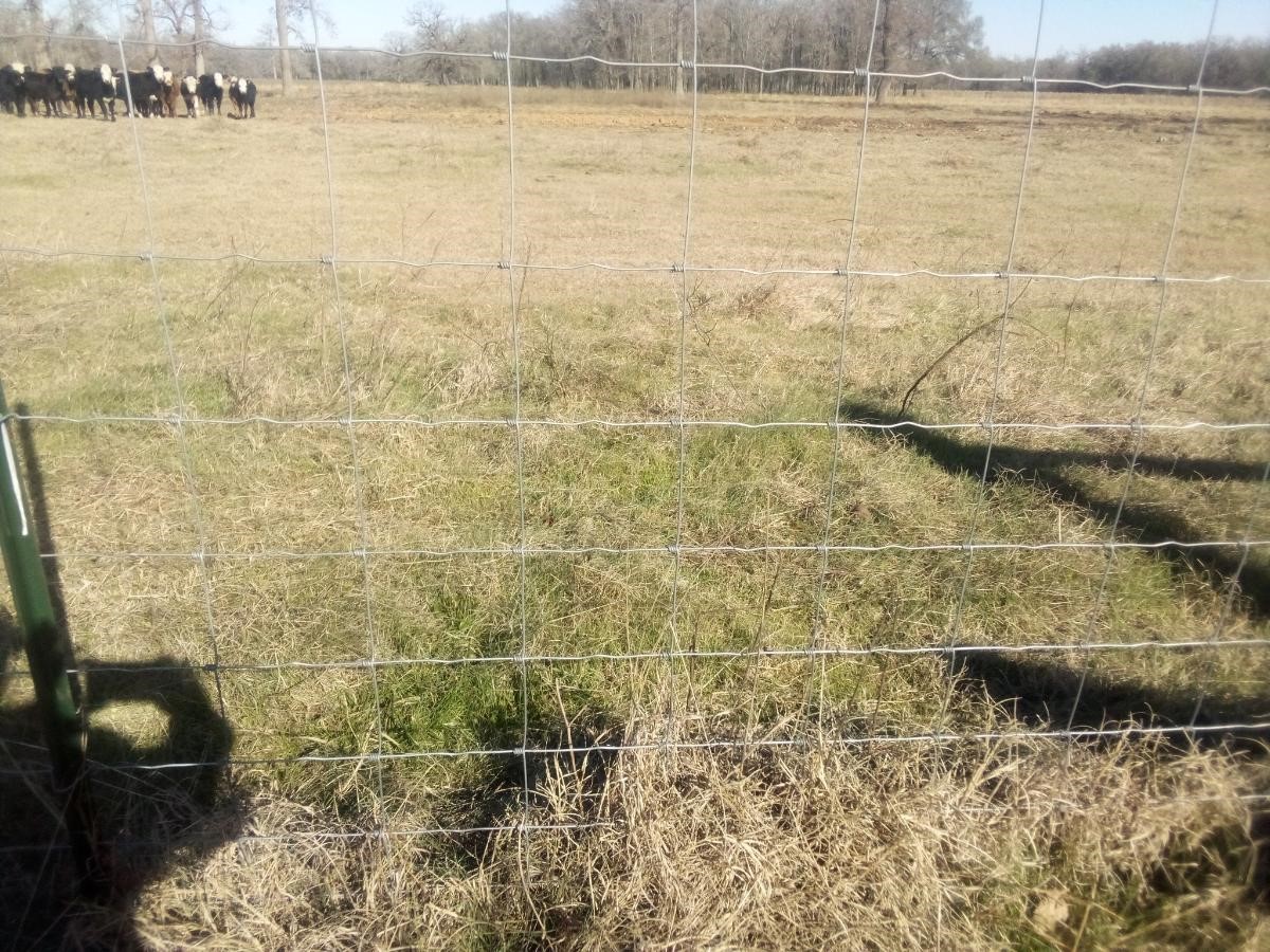 87 County Road 231 Centerville, TX 75833 - Photo 11 of 15 a bathroom with a shower