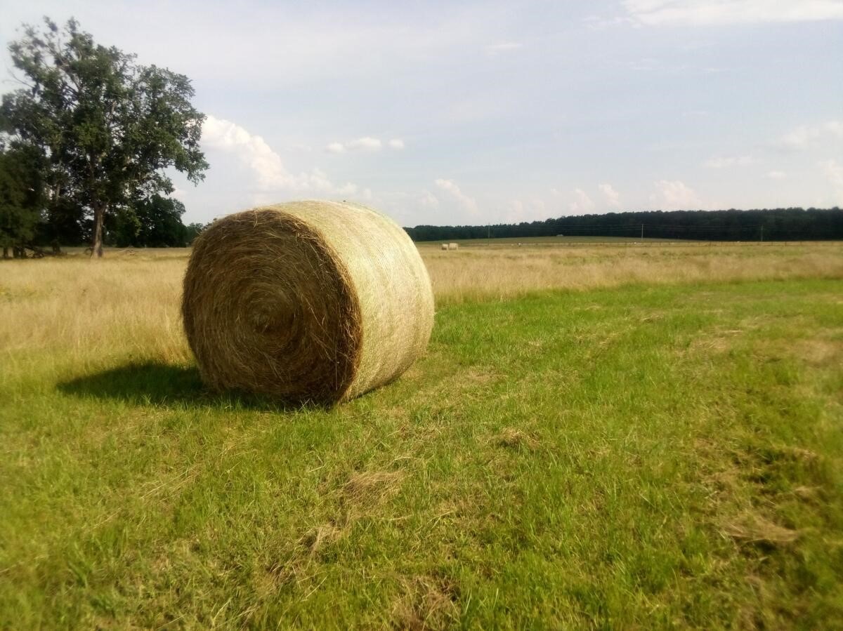87 County Road 231 Centerville, TX 75833 - Photo 3 of 15 a view of a swimming pool and outdoor space