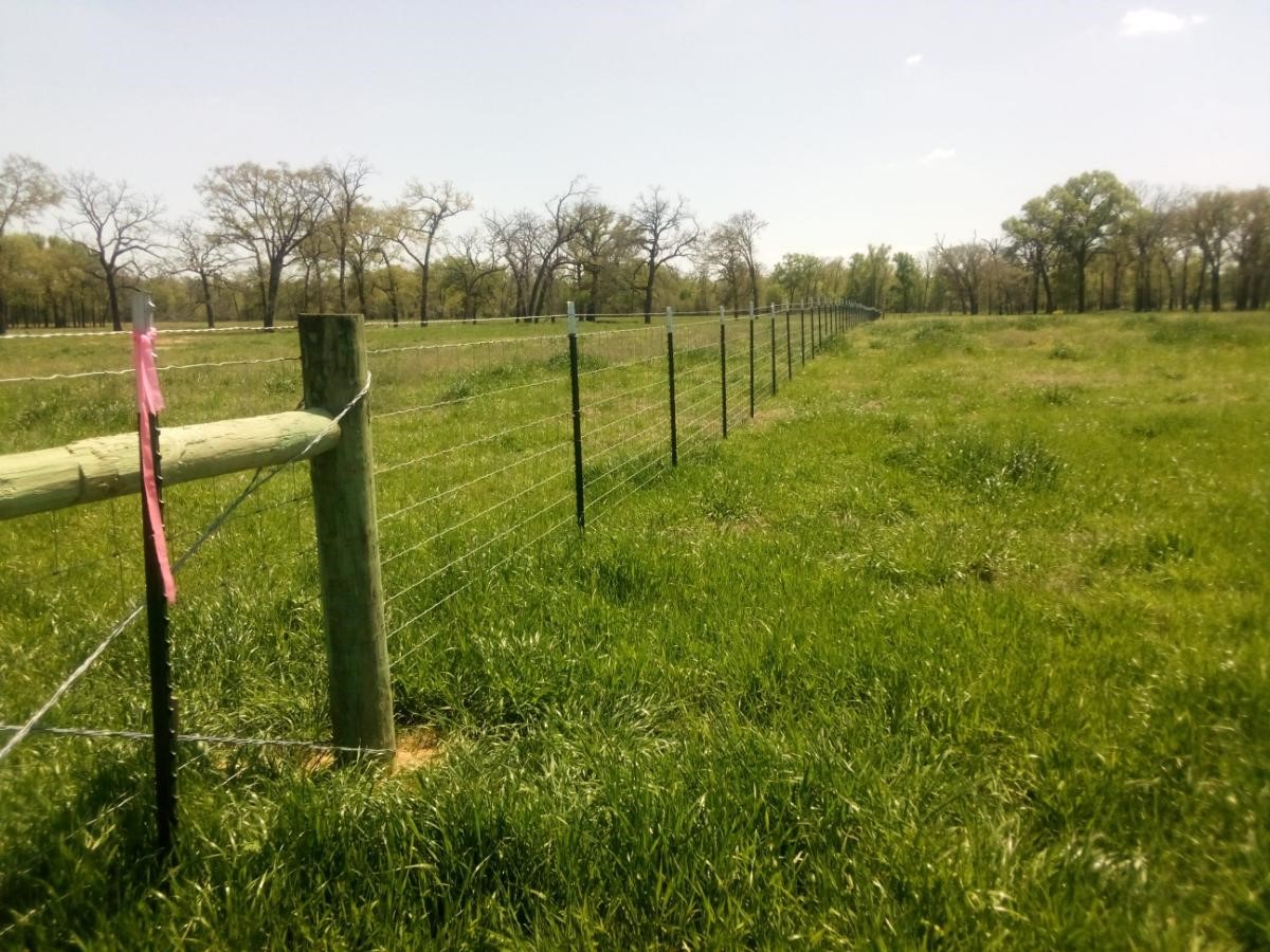 87 County Road 231 Centerville, TX 75833 - Photo 5 of 15 a view of a golf course with a lake