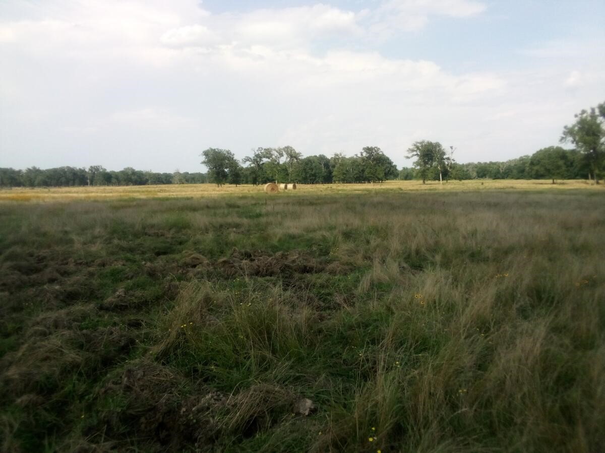 87 County Road 231 Centerville, TX 75833 - Photo 9 of 15 a view of a lake and green valley