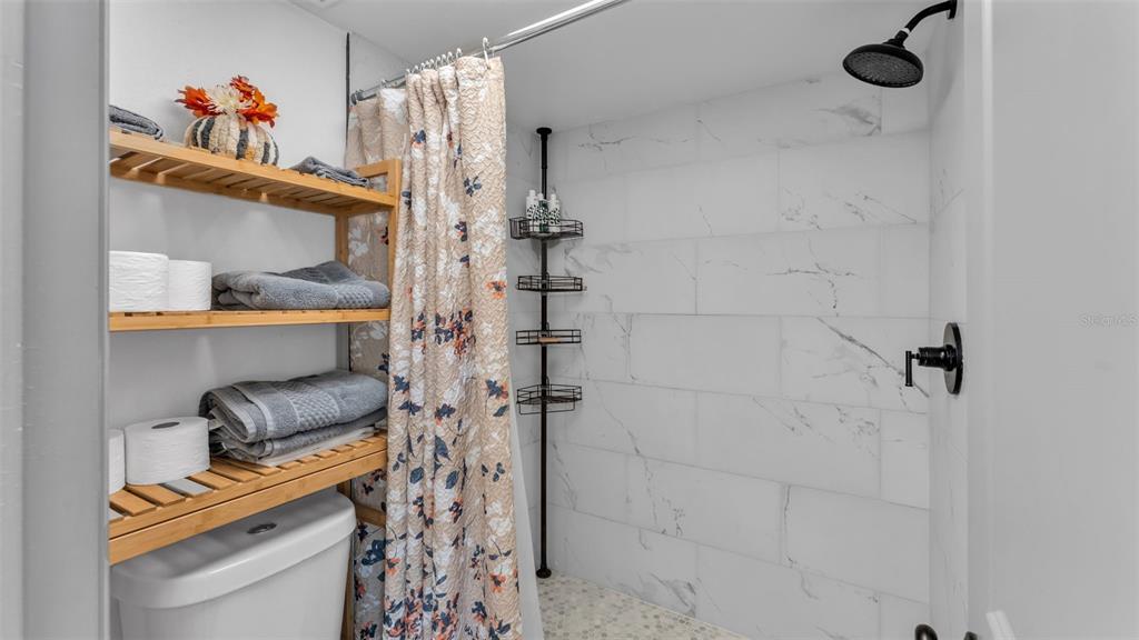 1005 Swilley Road Plant City, FL 33567 - Photo 17 of 24 a view of bathroom