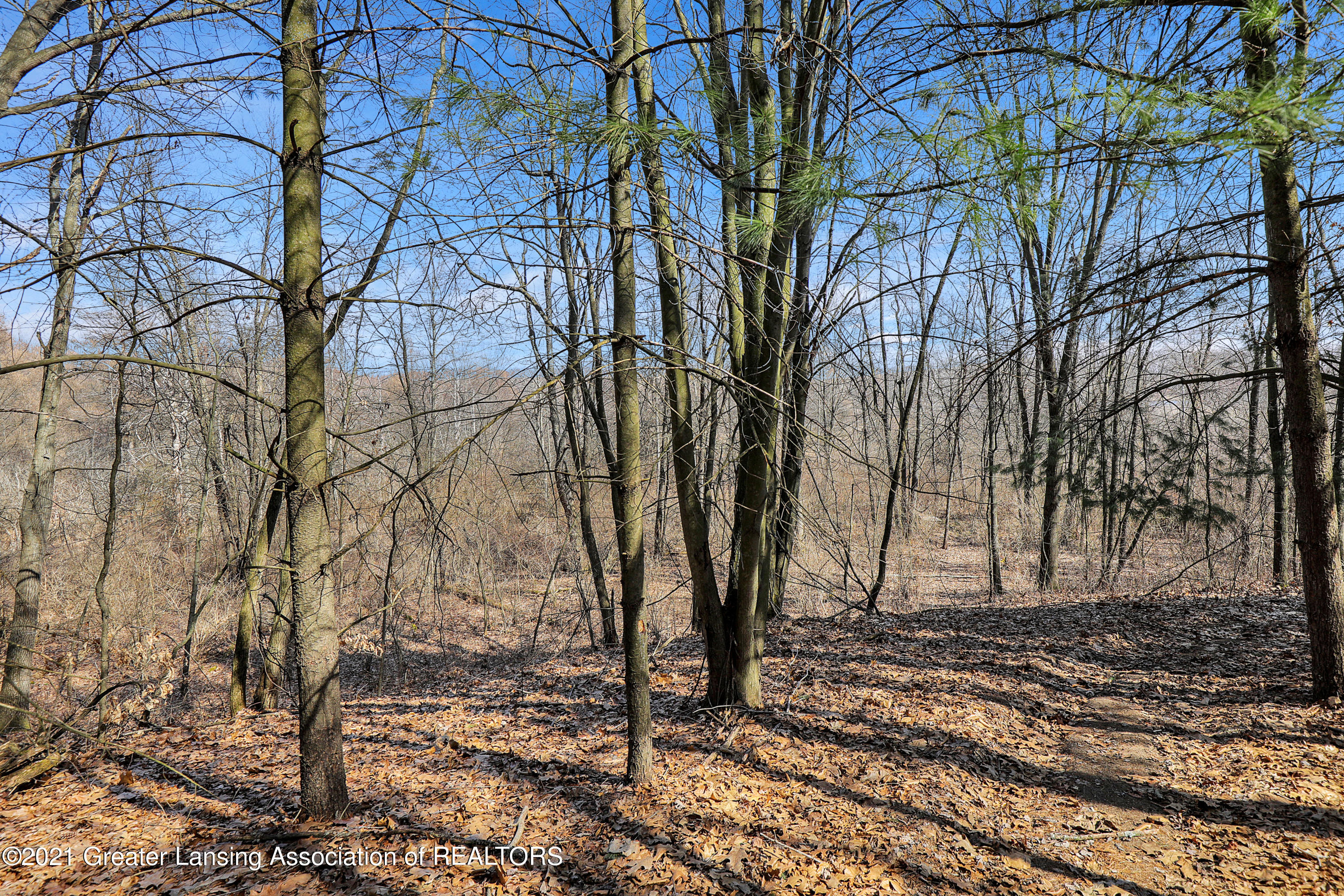 6107 Woods Road Bellevue, MI 49021 - Photo 36 of 51 9I3A0967