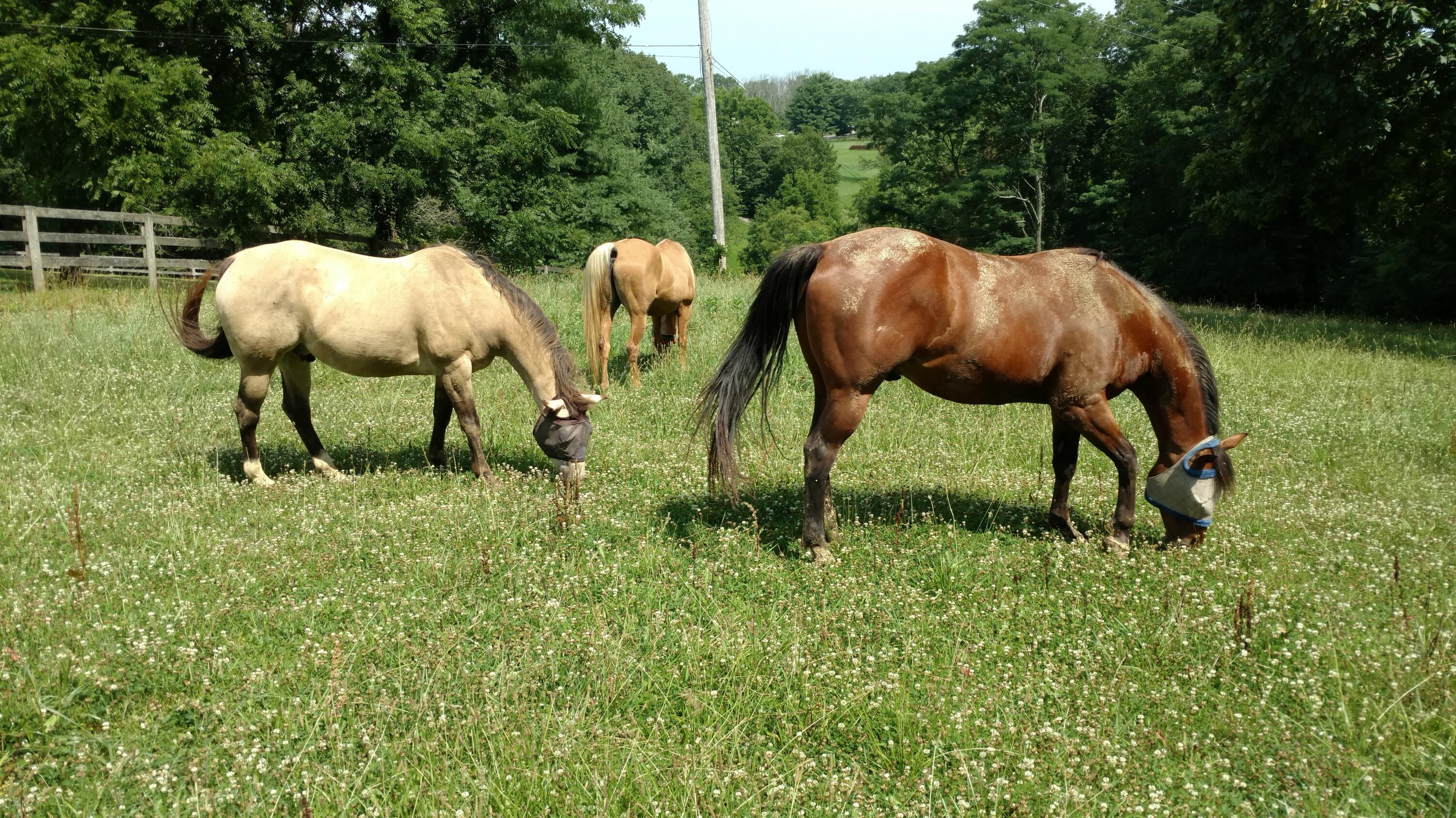 1005 Stephenson Mill Road Walton, KY 41094 - Photo 23 of 23 Gallery Image 23