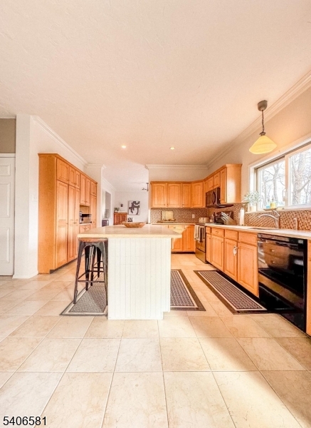 16 Gary Court Flanders, NJ 07836 - Photo 16 of 48