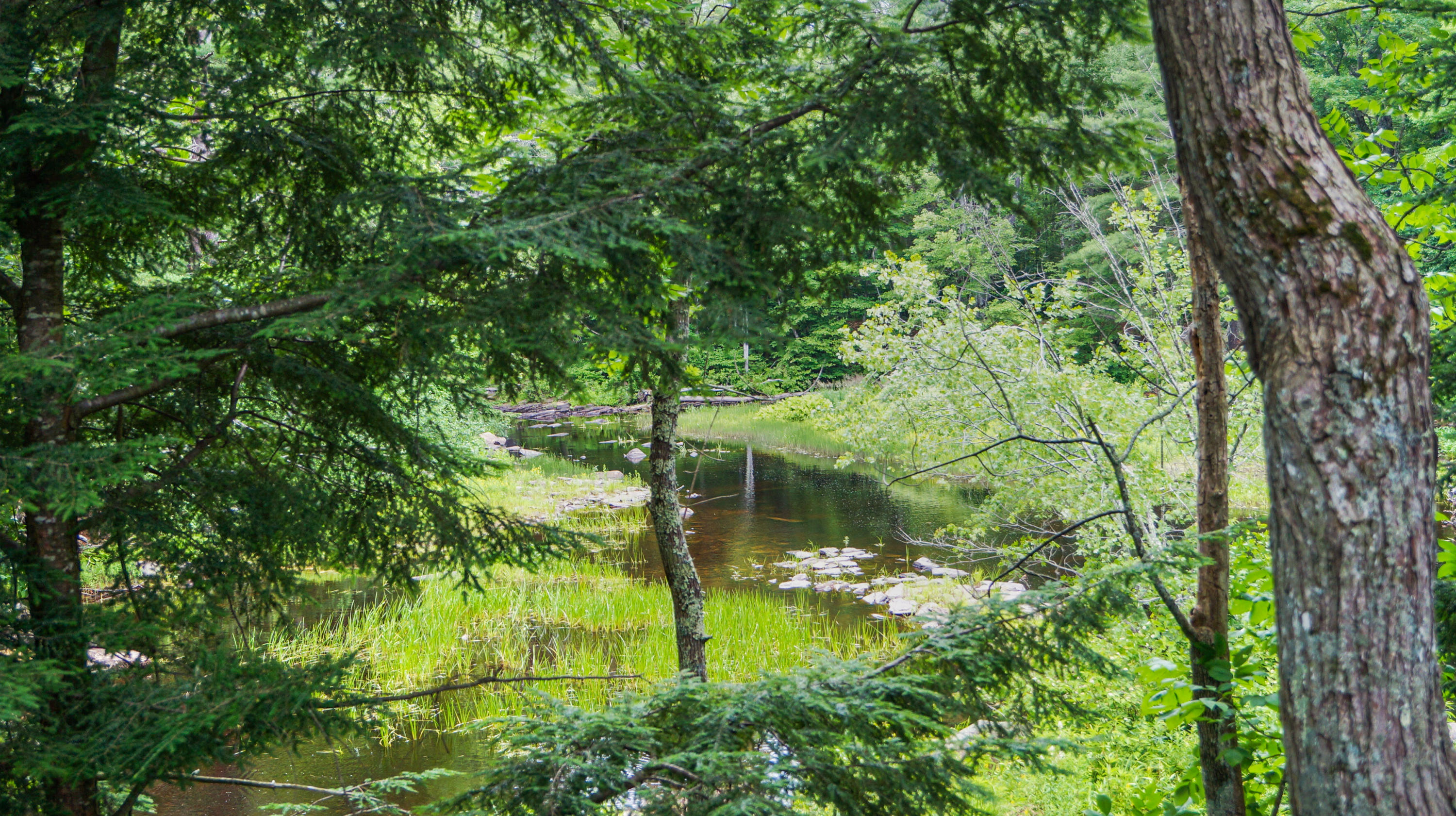 401 Little River Road Lebanon, ME 04027 - Photo 37 of 39 DSC03789