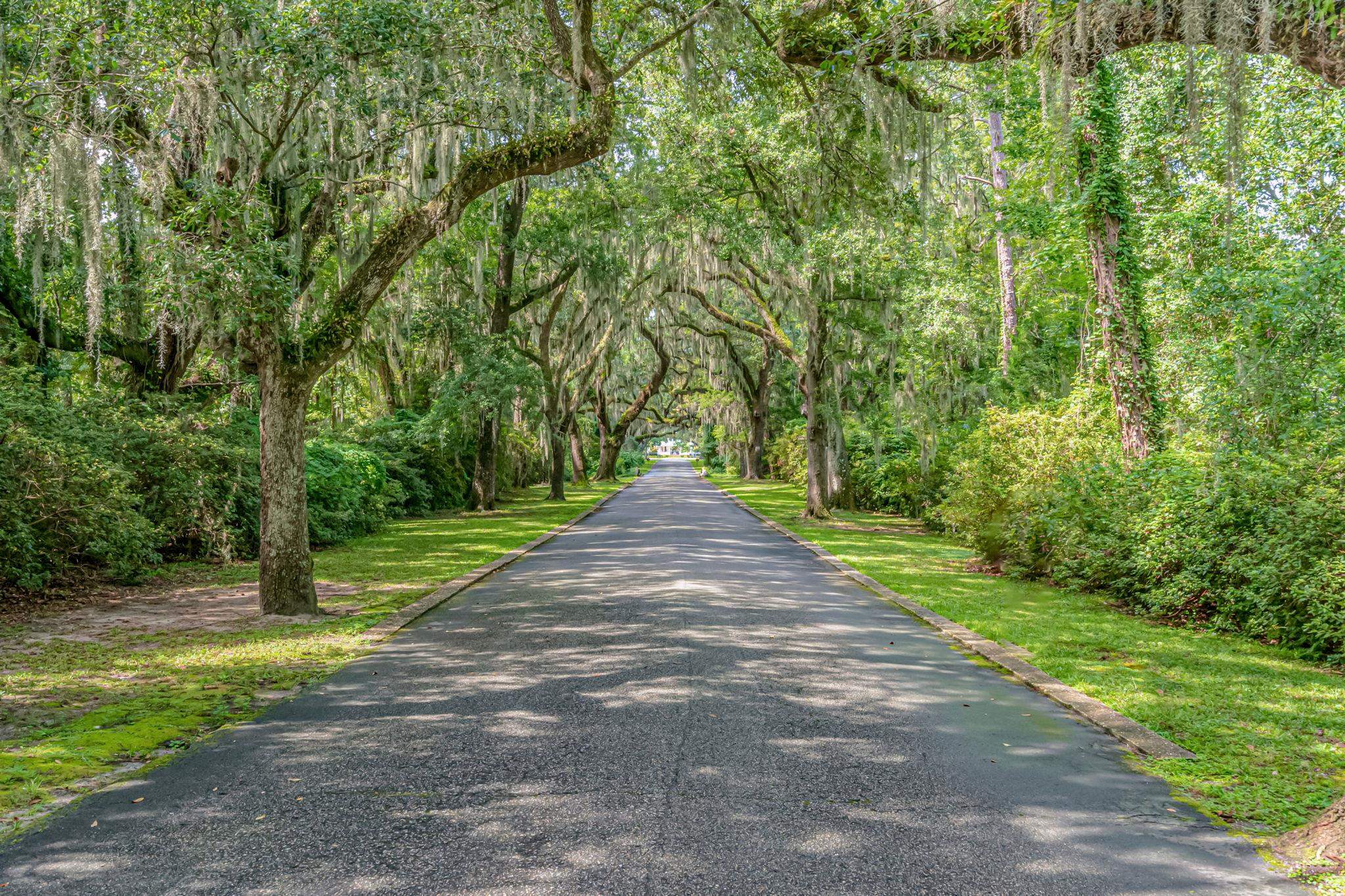 371 Tucker Road, Unit B Pawleys Island, SC 29585 - Photo 47 of 78