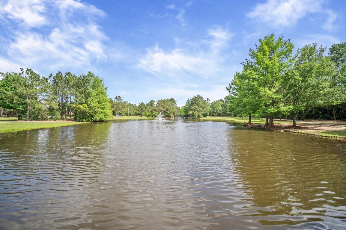 241 West Tupelo Green Circle Spring, TX 77389 - Photo 50 of 50