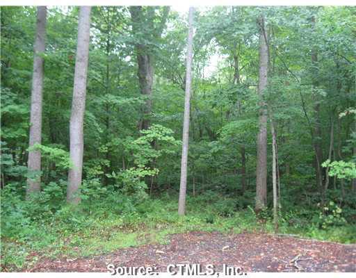 Lot46 B Chittenden Hill Road Clinton, CT 06413 - Photo 1 of 1 a view of a forest that has large trees