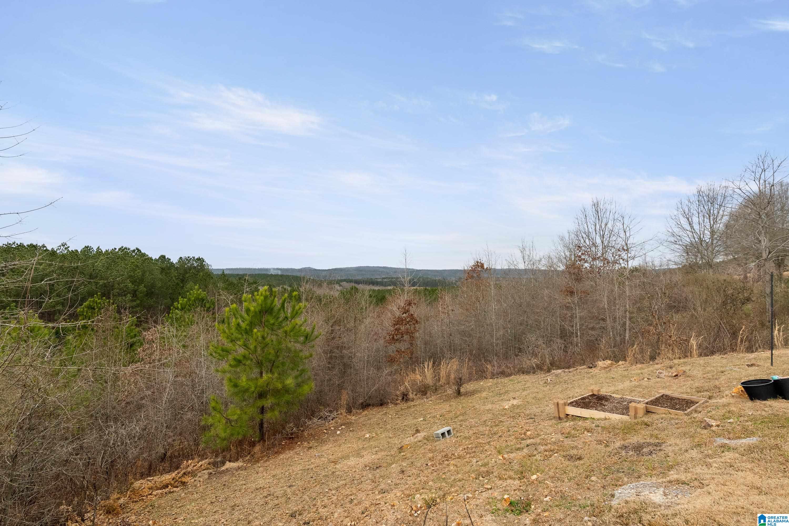 3087 Chelsea Park Ridge Chelsea, AL 35043 - Photo 39 of 64