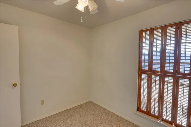 a view of a backyard with a large tree