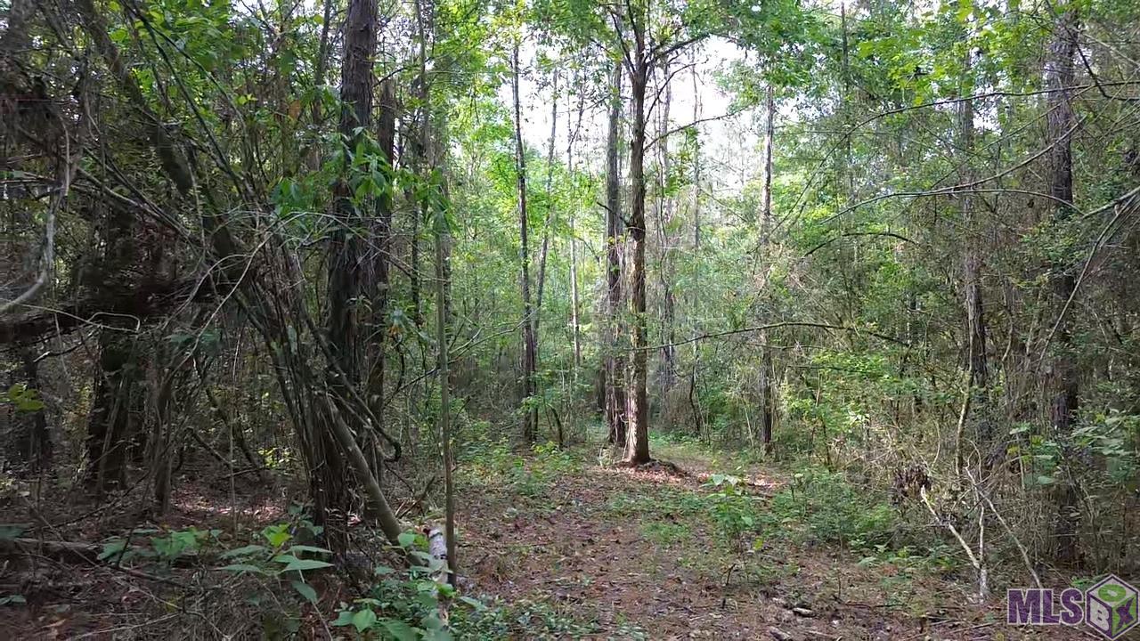 83166 Isabel Swamp Road Bush, LA 70431 - Photo 17 of 20