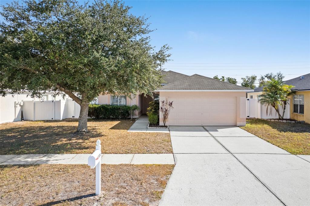 a view of a yard with plants and a tree