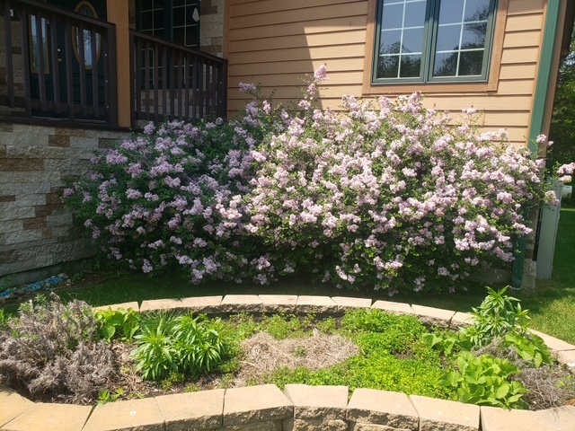 10915 Taft Road Richmond, IL 60071 - Photo 3 of 49