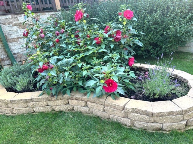 10915 Taft Road Richmond, IL 60071 - Photo 5 of 49