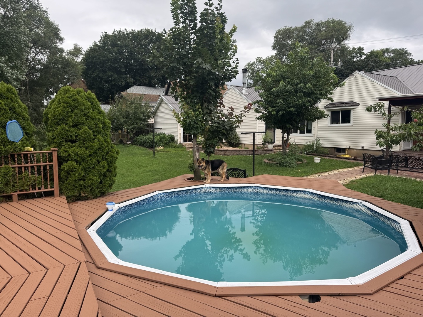 631 Bent Street Elgin, IL 60120 - Photo 8 of 43