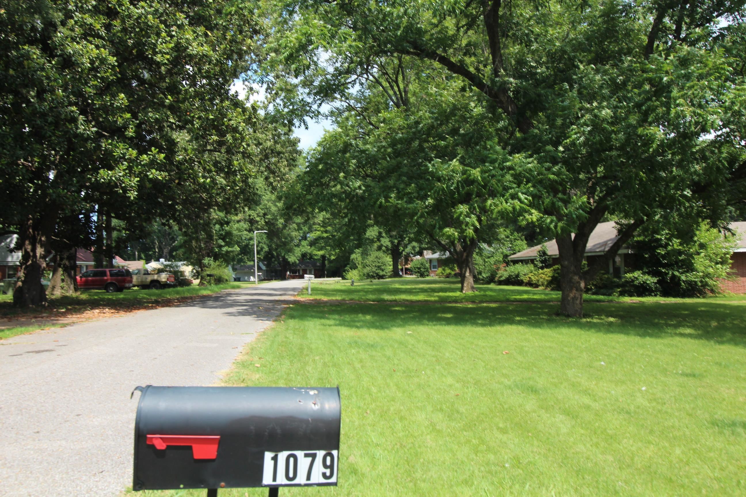 1079 Alden Road Memphis, TN 38116 - Photo 4 of 40 Expansive front lawn featuring mature trees and a traditional mailbox