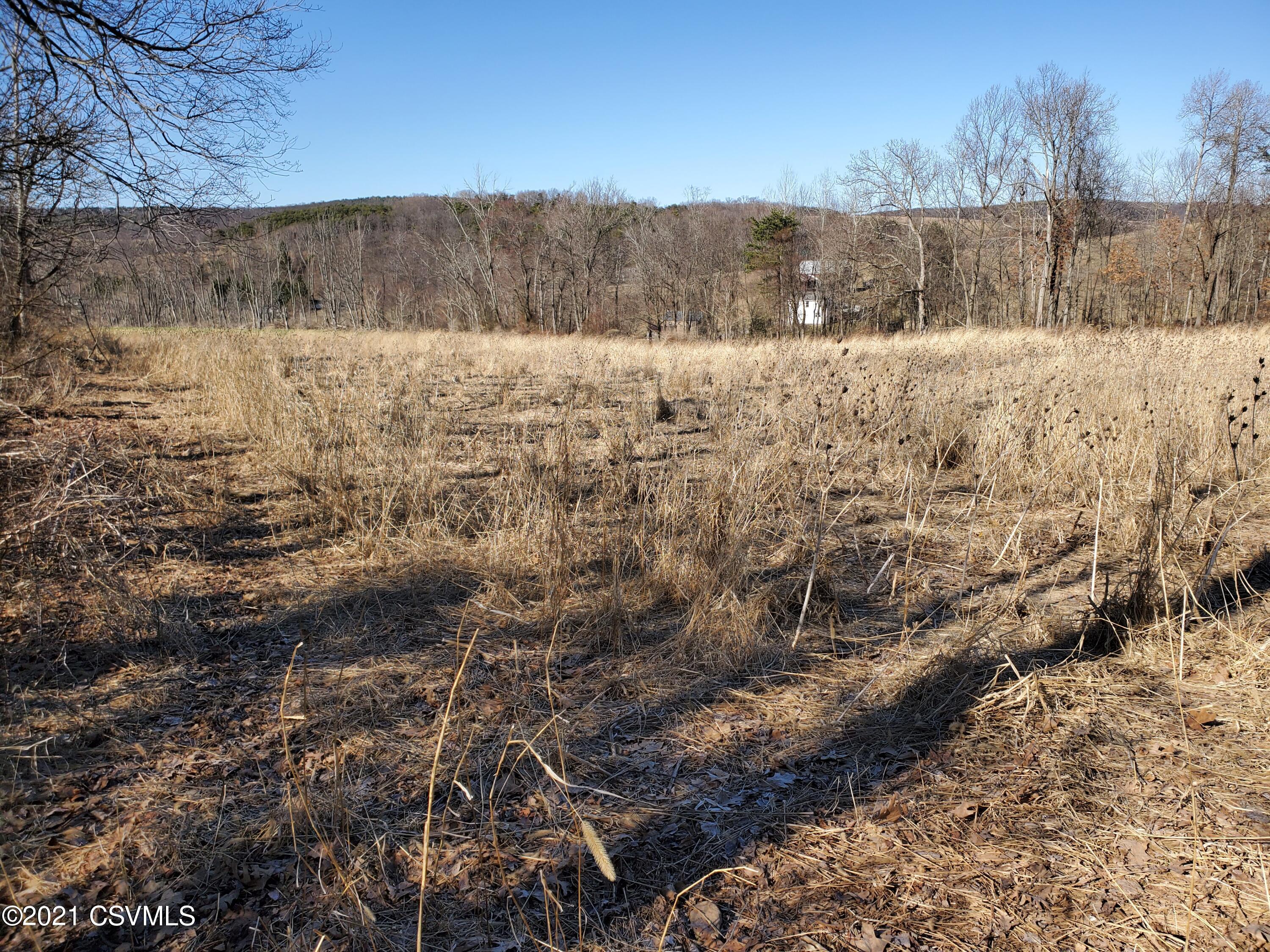 Lot 2 Drumheller Road Paxinos, PA 17860 - Photo 3 of 9 Gallery Image 3