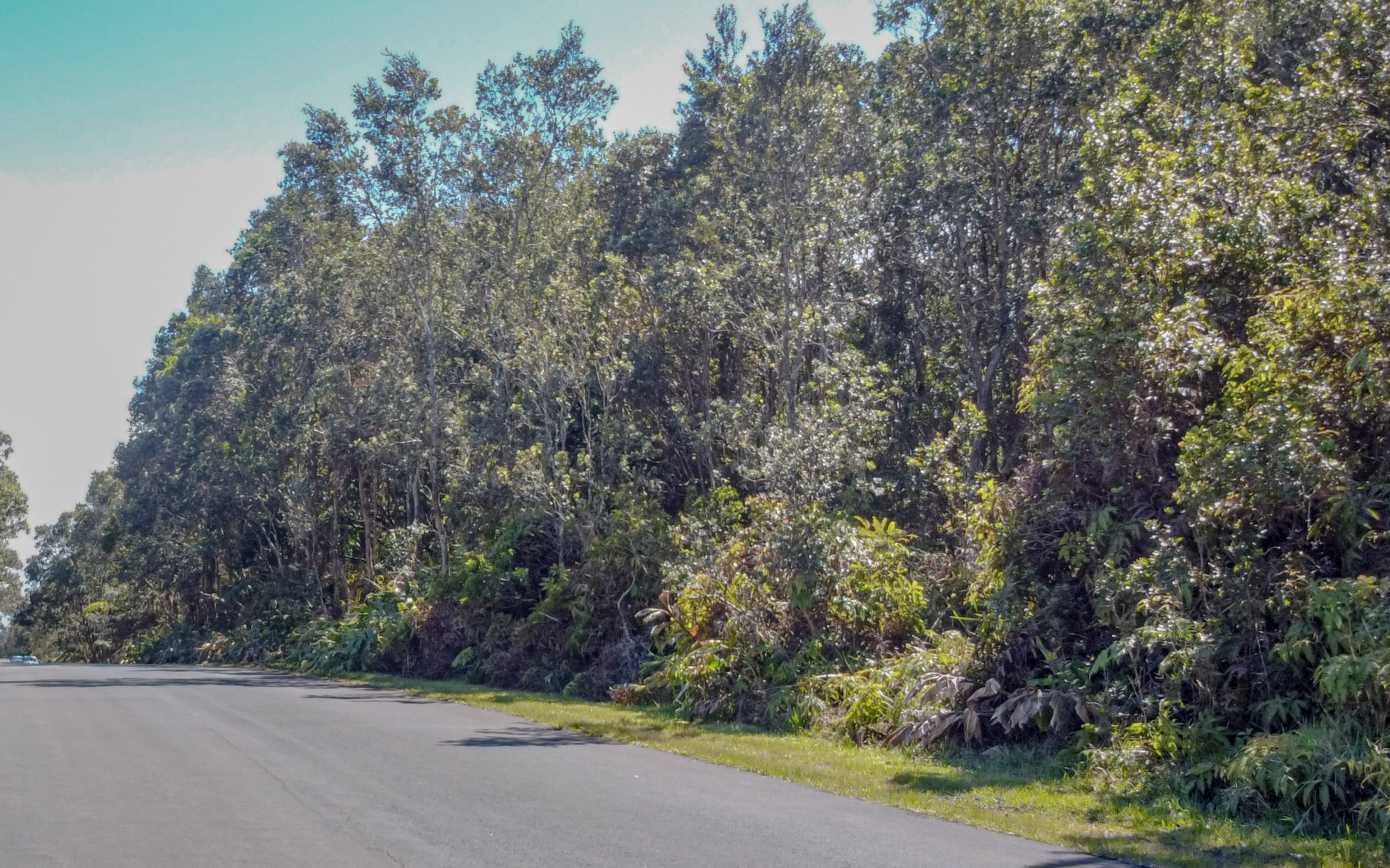 568 6th Street Volcano, HI 96785 - Photo 11 of 14 a view of a yard