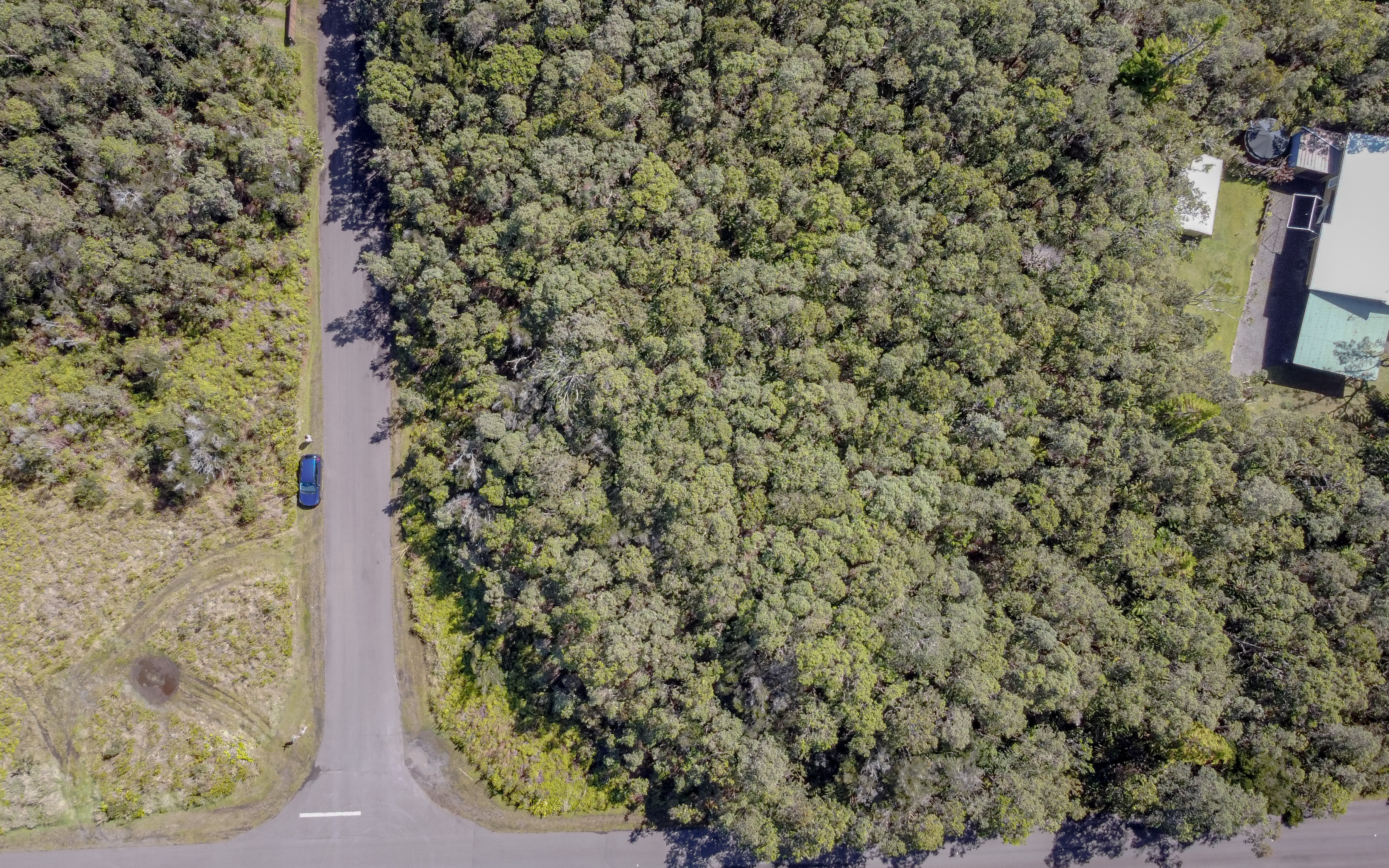 568 6th Street Volcano, HI 96785 - Photo 2 of 14 a picture of a wall with a sink