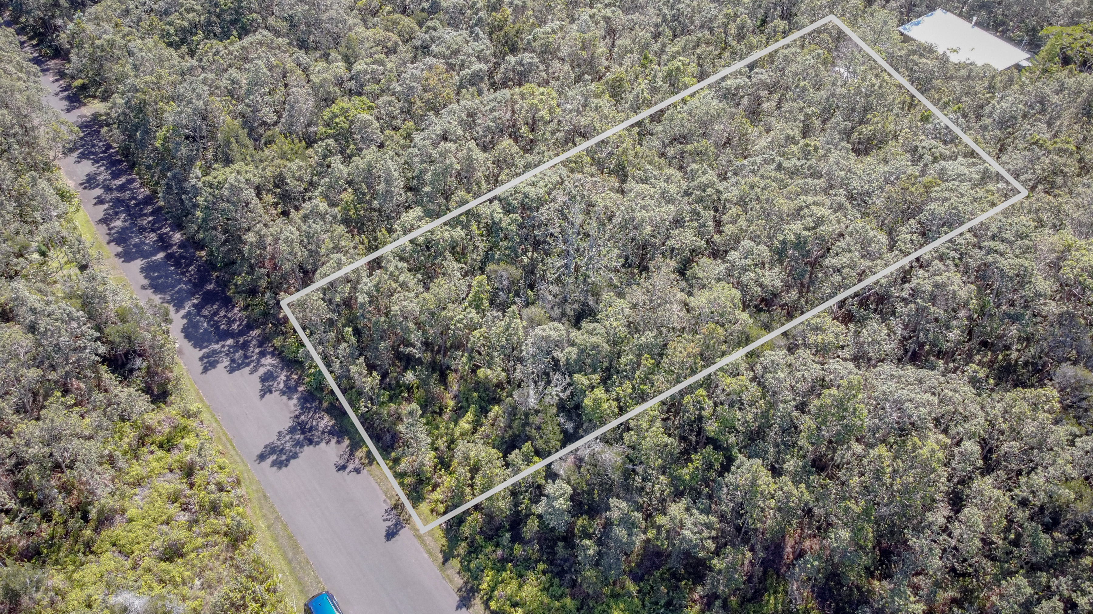 568 6th Street Volcano, HI 96785 - Photo 6 of 14 a view of a forest with a tree