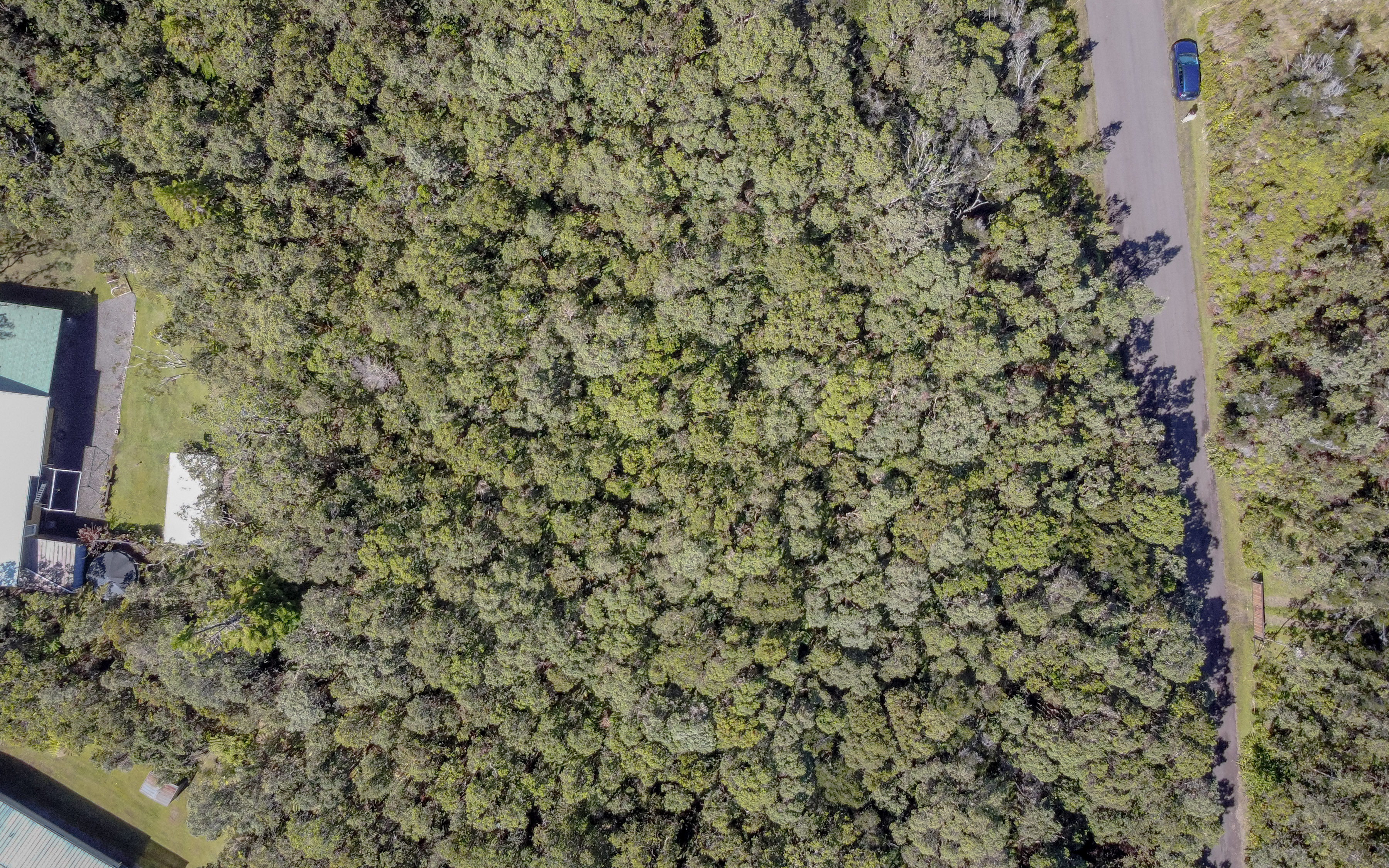 568 6th Street Volcano, HI 96785 - Photo 9 of 14 a view of a yard