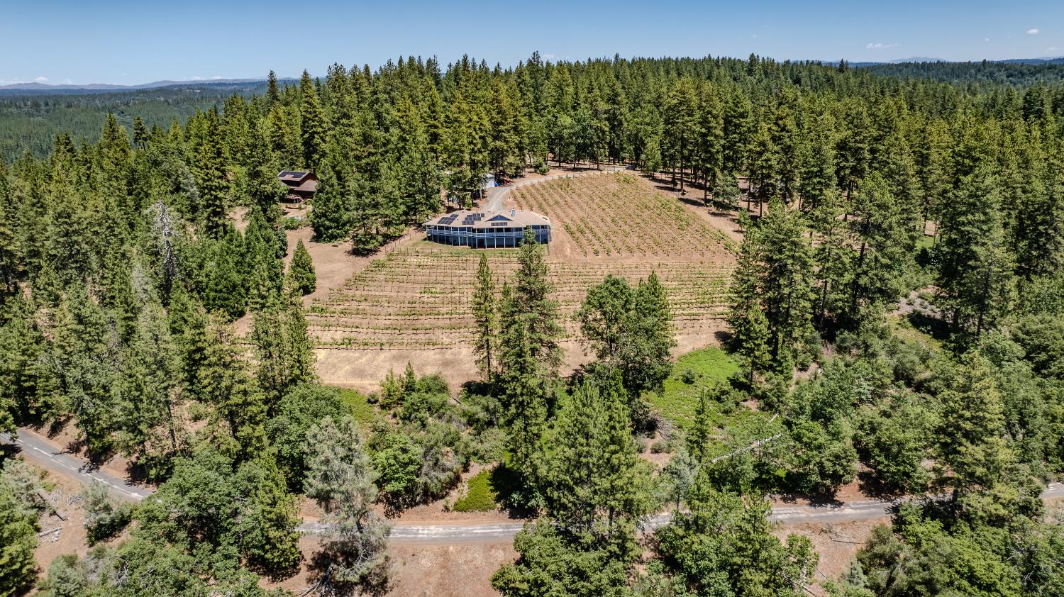 18591 Ponderosa Hills Road Volcano, CA 95689 - Photo 36 of 92